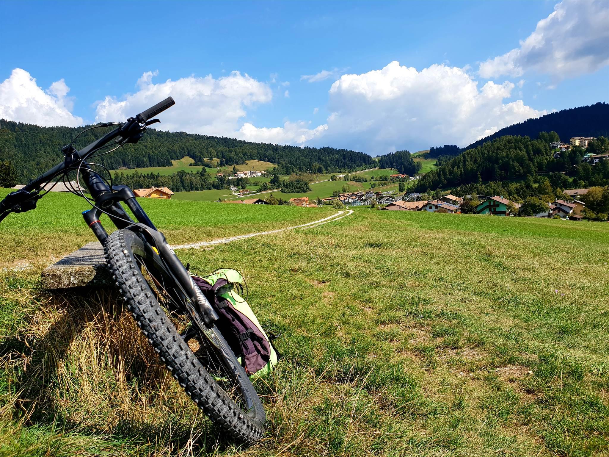 Scuola MTB - GRAVITY - Corso Collettivo