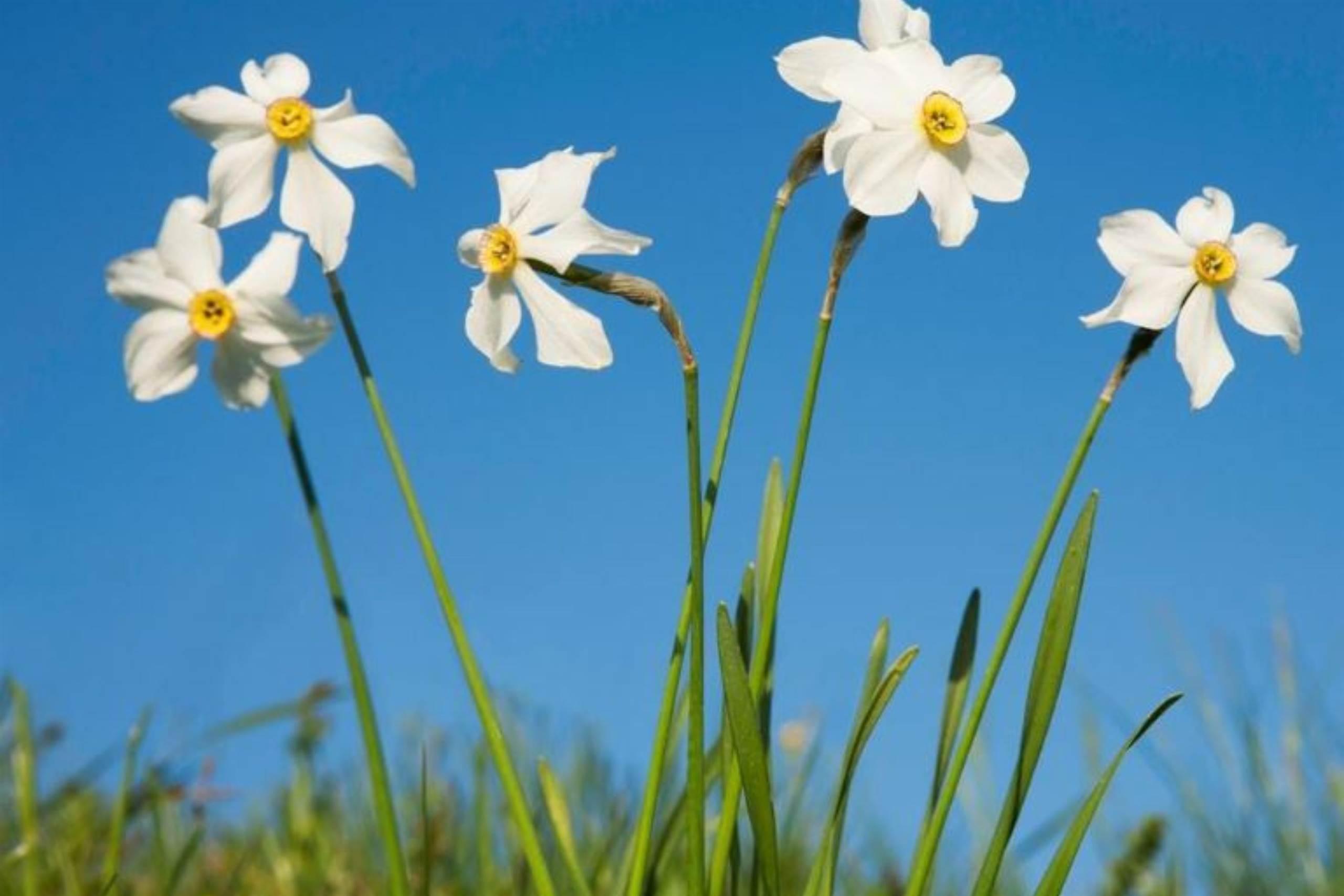 Tutti insieme per la biodiversità