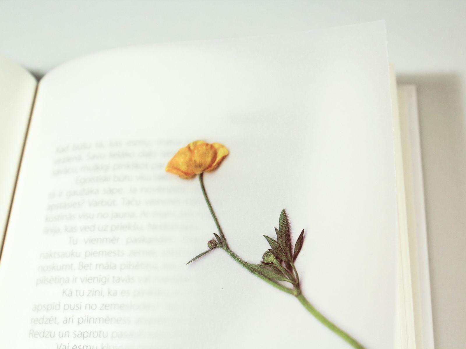 Il ricordo che porta, il ricordo che lascia -  Presentazione libro