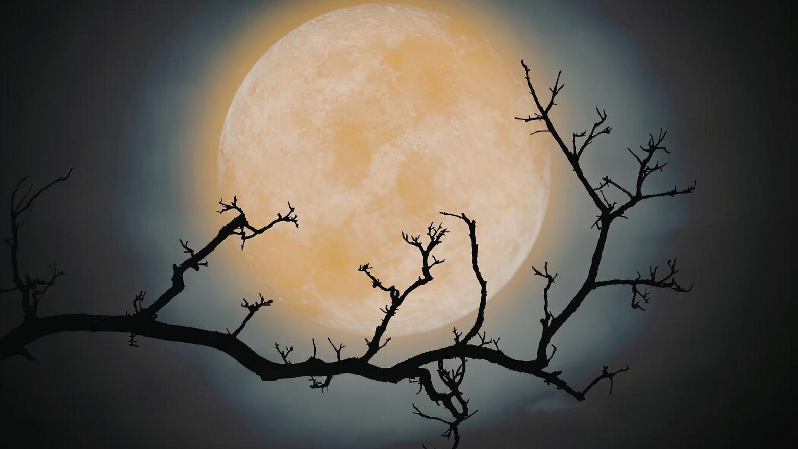 Anello di Valmorel sotto la luna piena - Guide Mazarol
