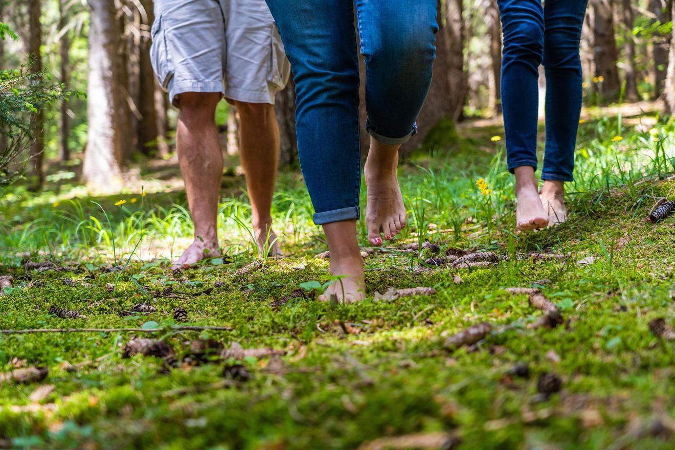 Forest Bathing
