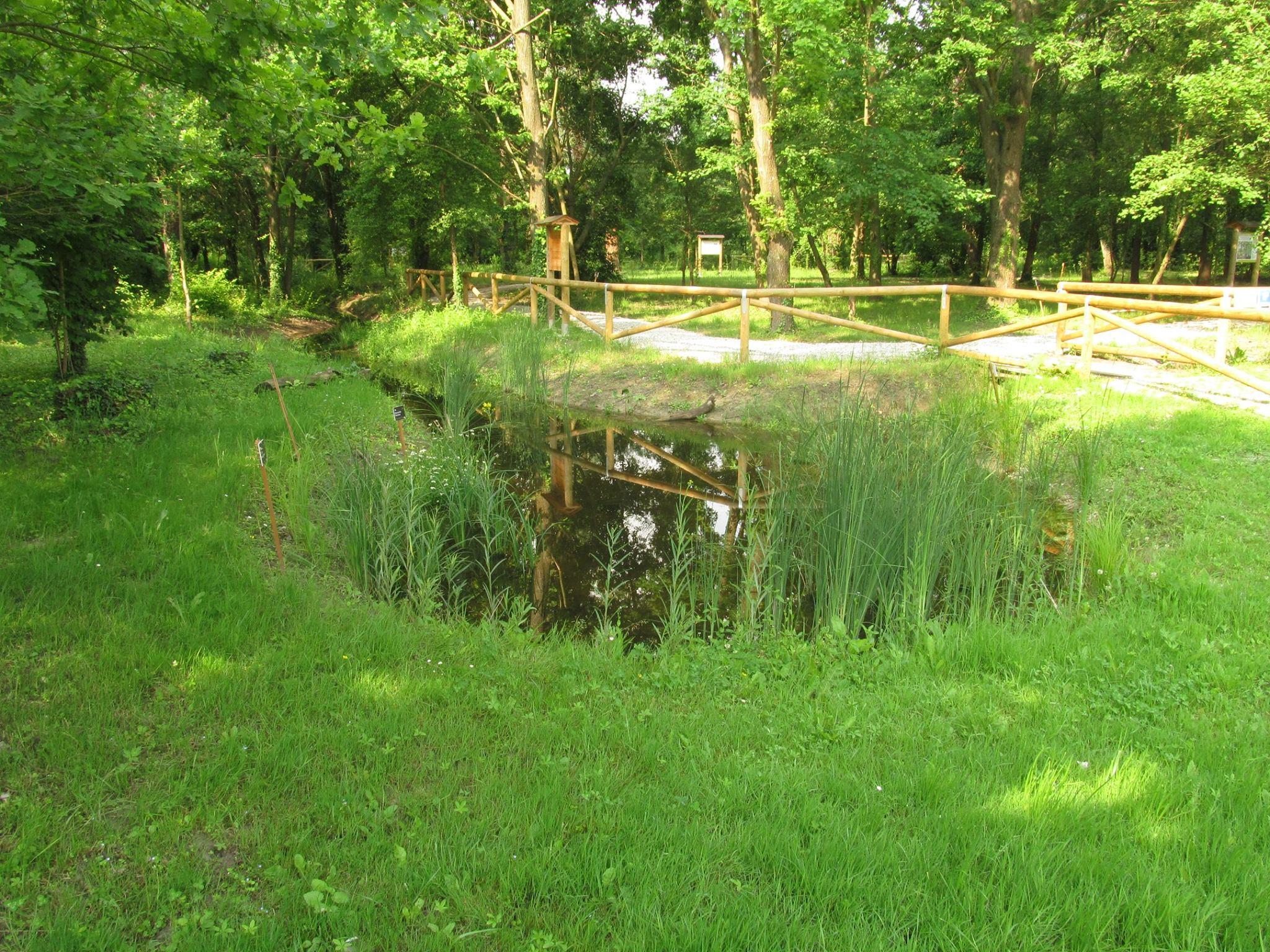 Visita guidata in Valle Averto Oasi WWF