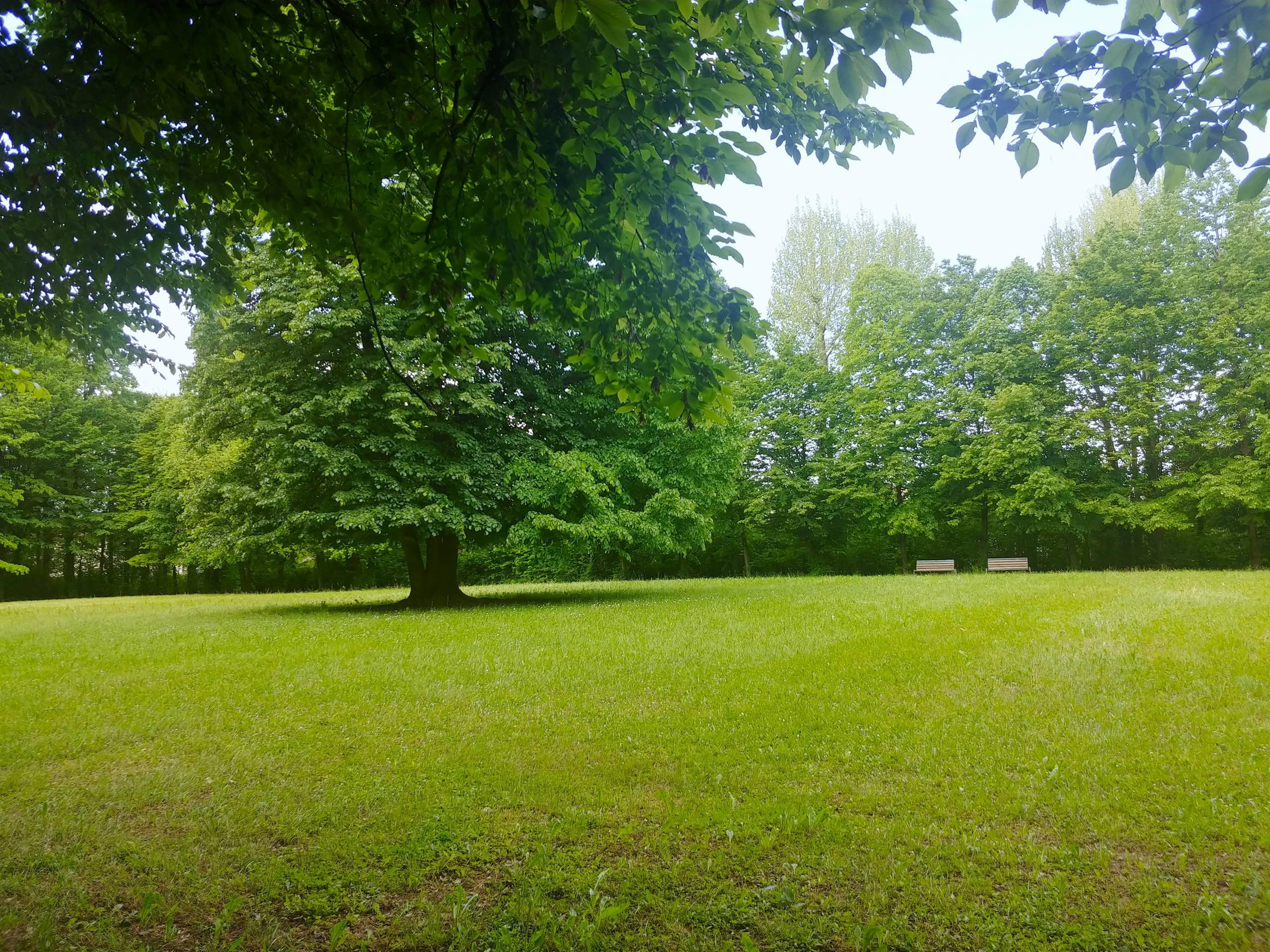 Parco Romantico Romanin Jacur