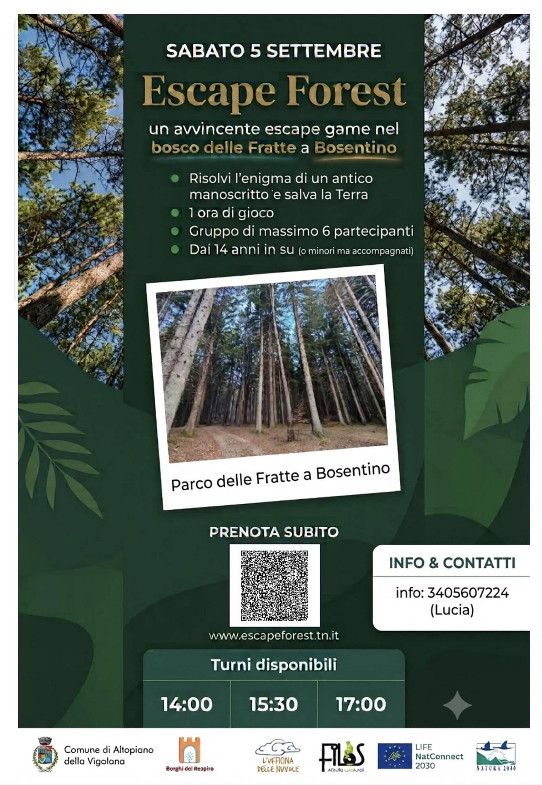 Escape Forrest