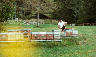 Azienda Agricola Remedi Mauro