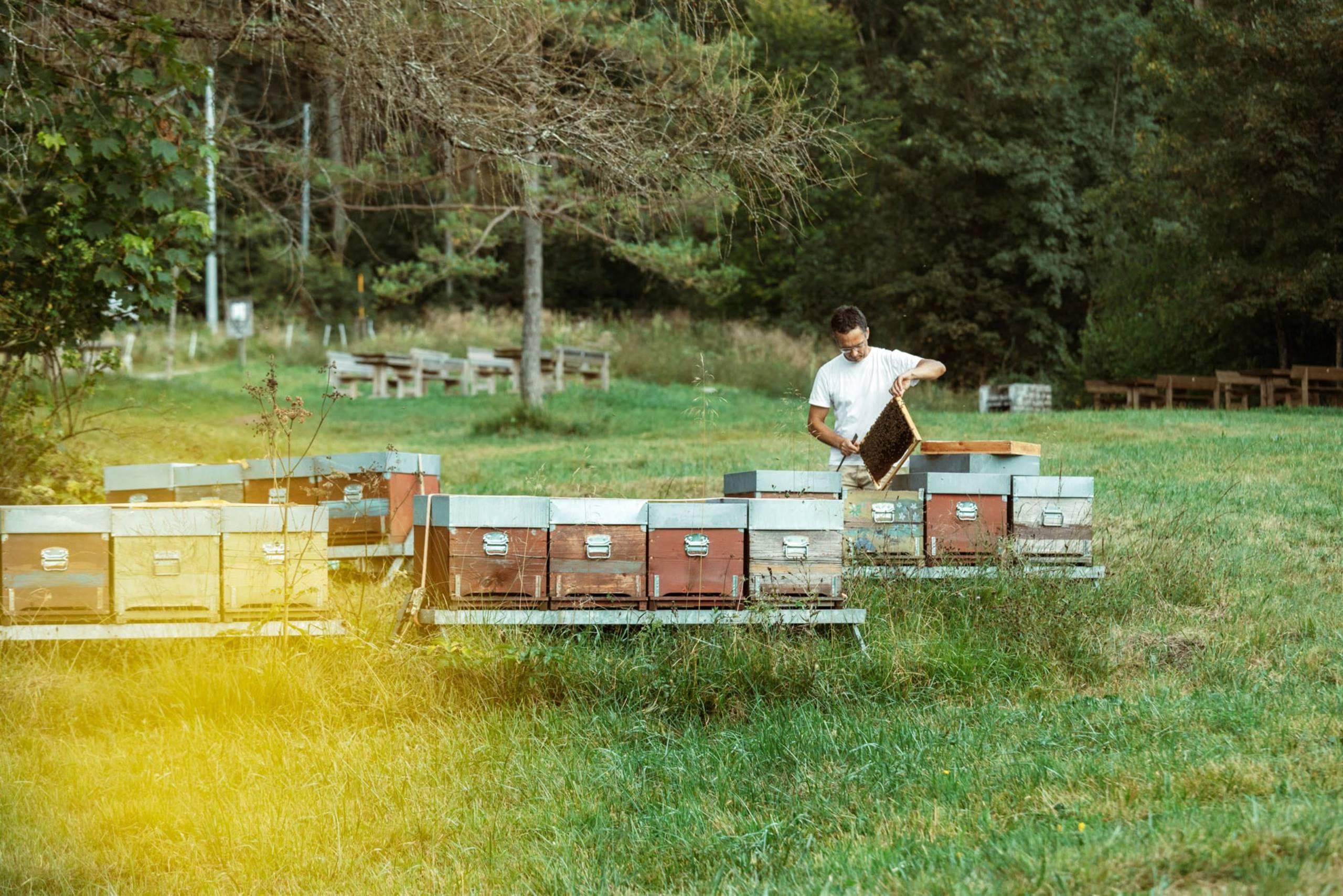 Azienda Agricola Remedi Mauro