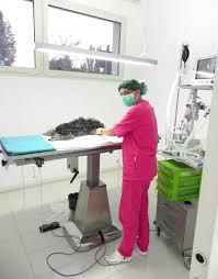 Ambulatorio Veterinario Laghetti