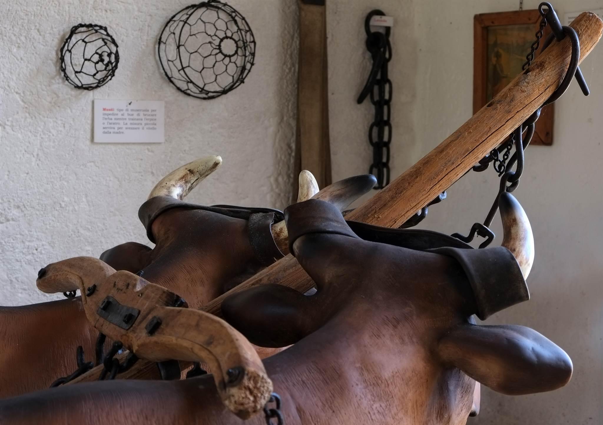 Agriturismo zugni tauro de mezzan