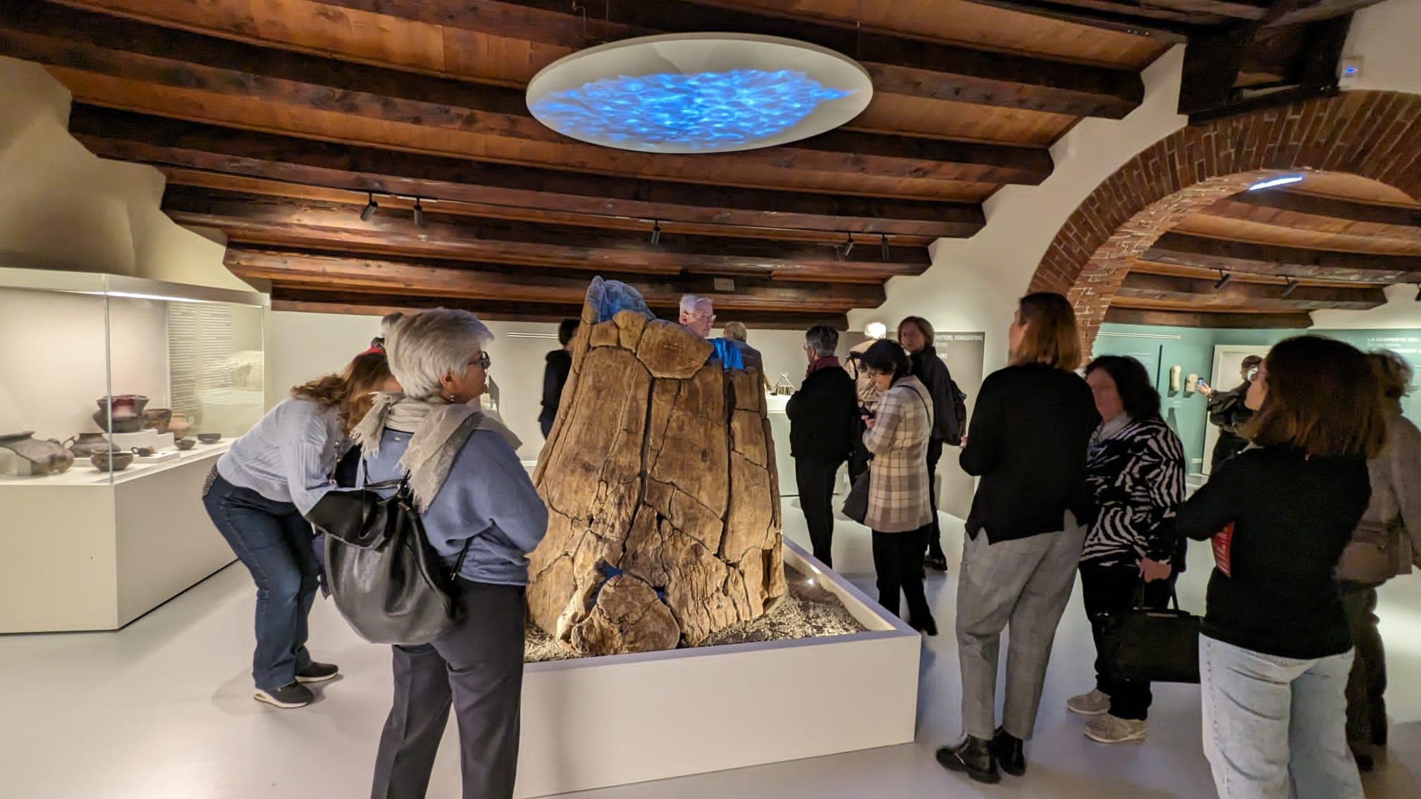 Visita guidata al Museo Archeologico Nazionale di Verona