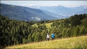 Speciale Hiking: nel respiro del bosco, verso le Vette Interiori