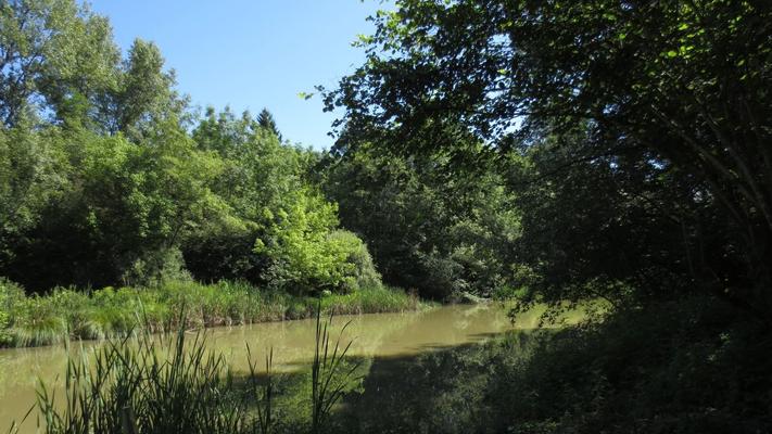 laghetti della rimonta