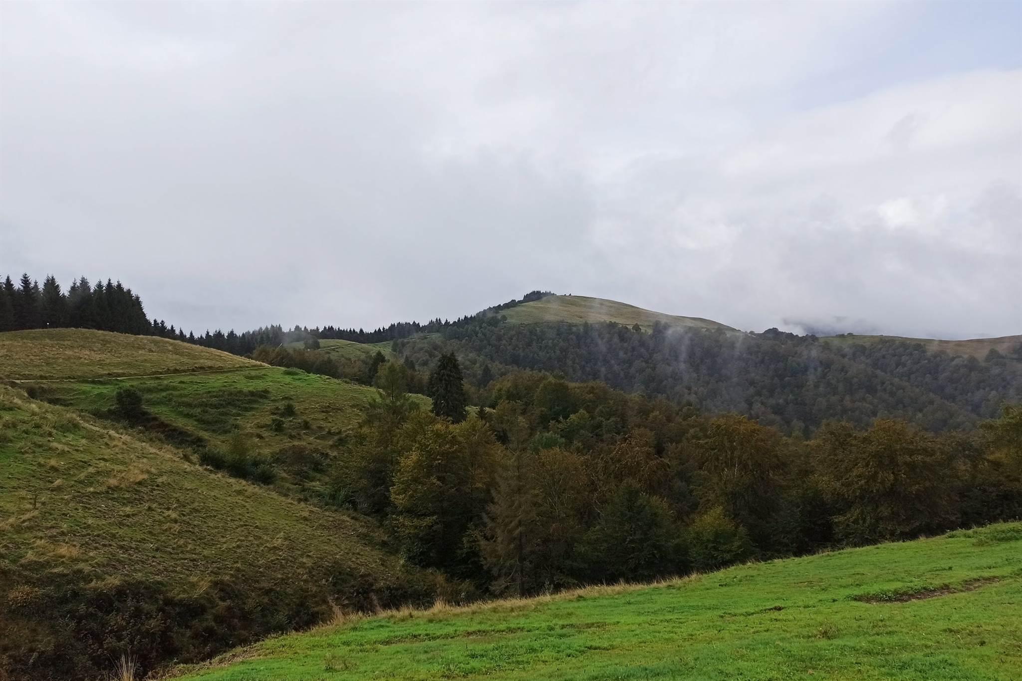 Malga Canidi - 3