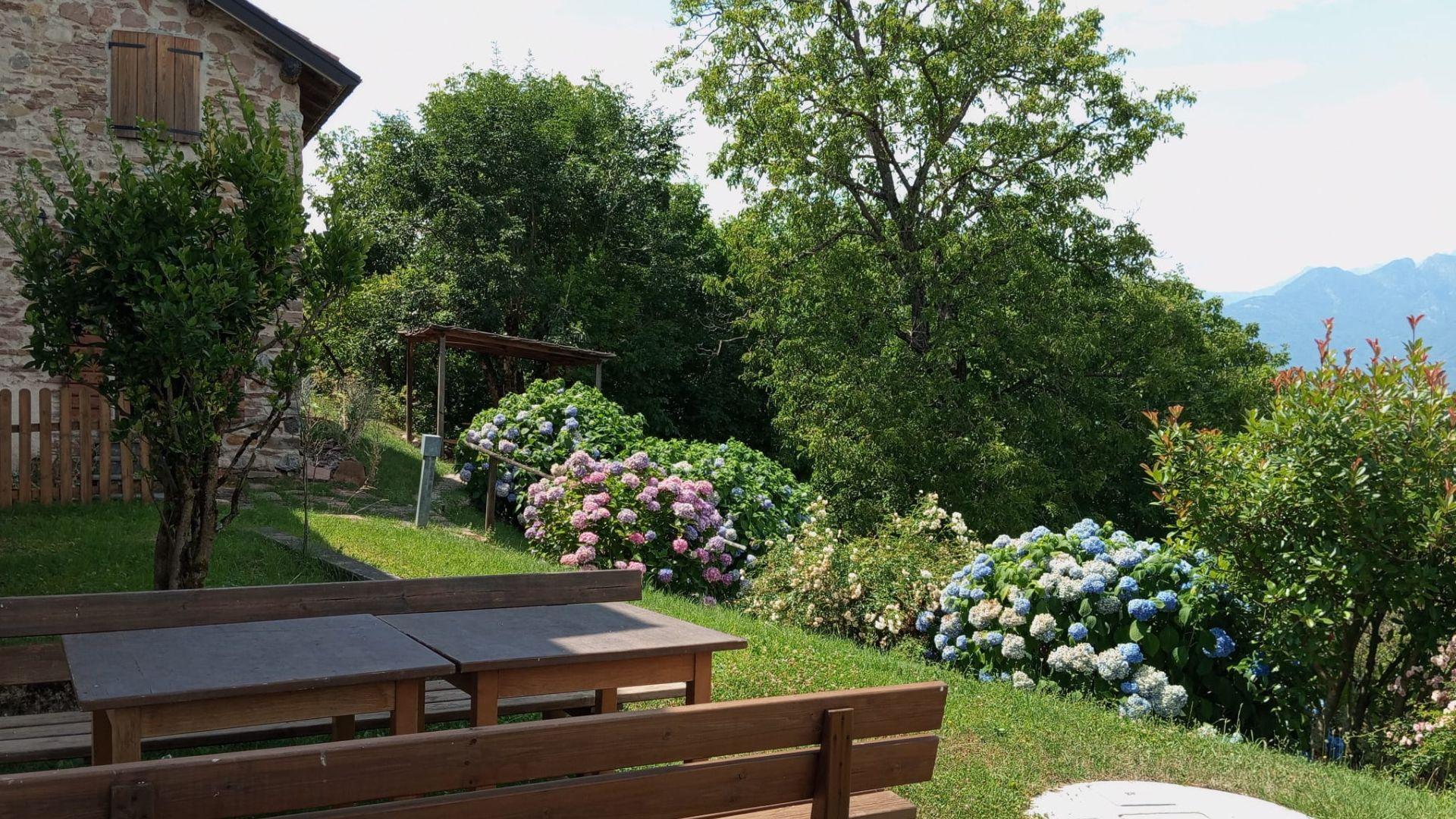Poggio al Borgo - 3