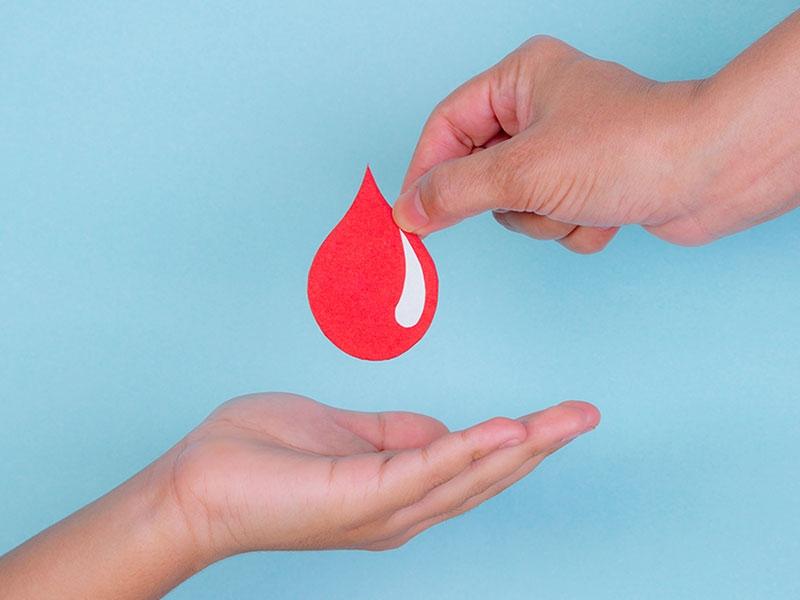 Passeggiata con i donatori di Tambre, Spert e Chies