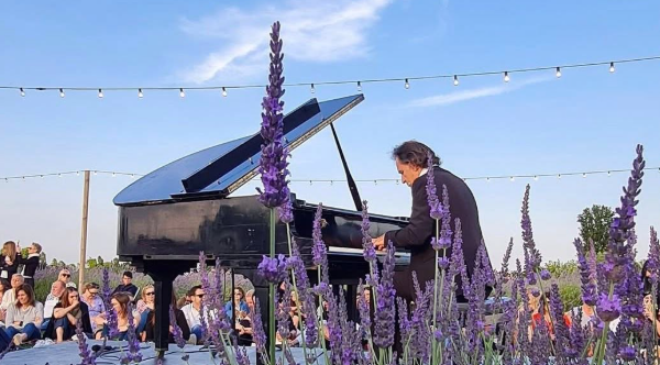 Concert in the Lavender Fields