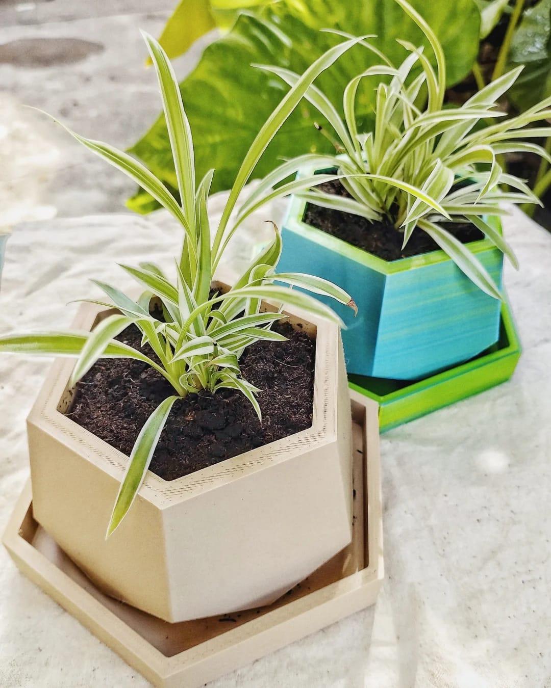 3D Greenhouse