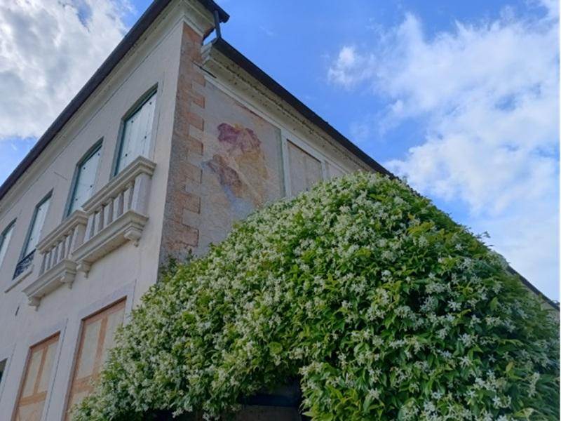 Visite guidate a Villa Ca' Erizzo