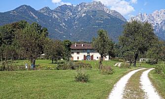 GESIOL DI BEDIN PATRIZIA