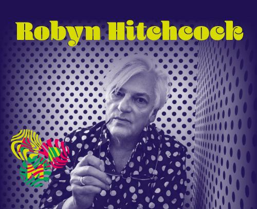 AMP Festival - Robyn Hitchcock