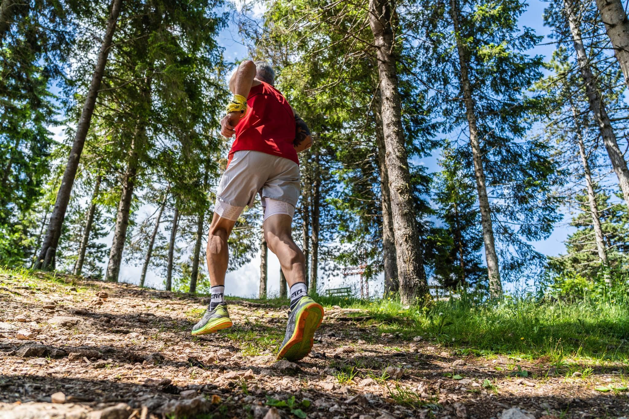 Lusernar Zimbar Loaf