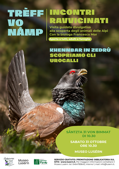 Incontri ravvicinati - Trèff vo namp : Scopriamo gli urogalli