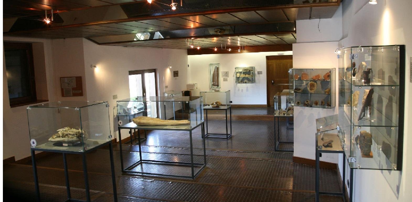 Museo paleontologico - 3