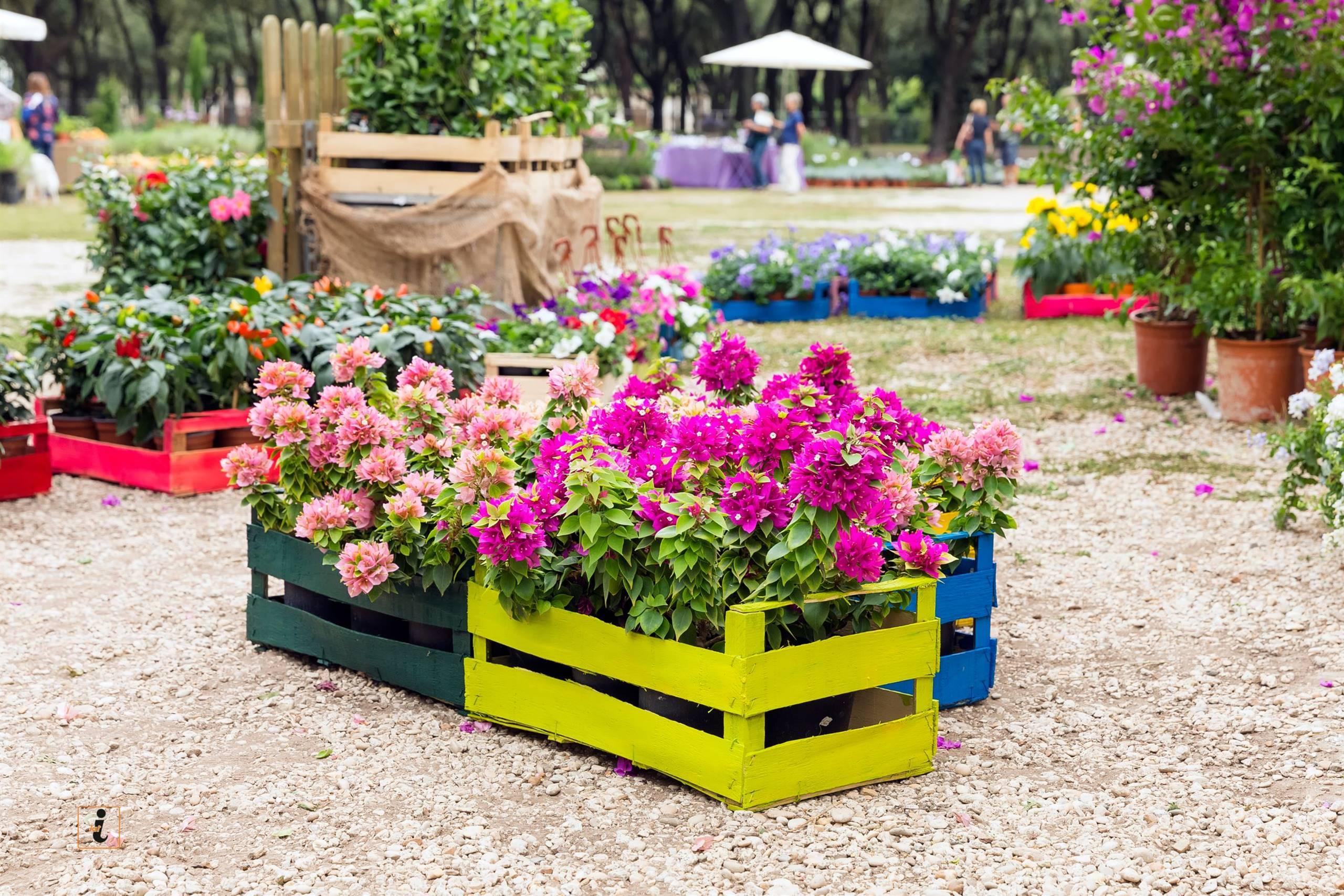Antica fiera di Santa Croce