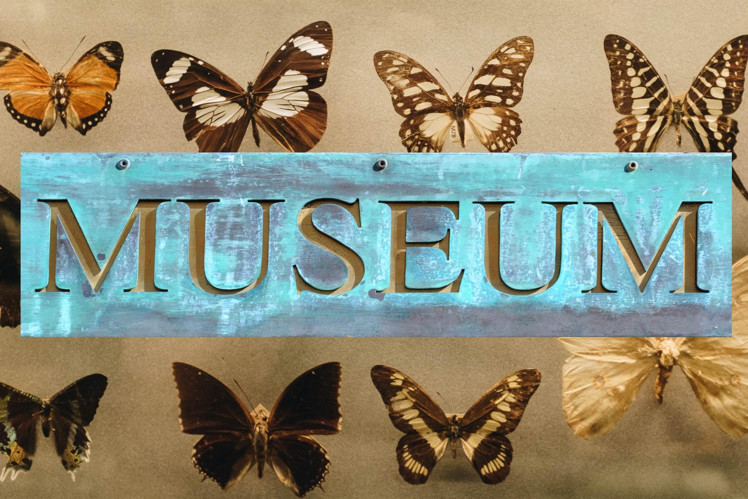 Museo Naturalistico Valle di Schievenin