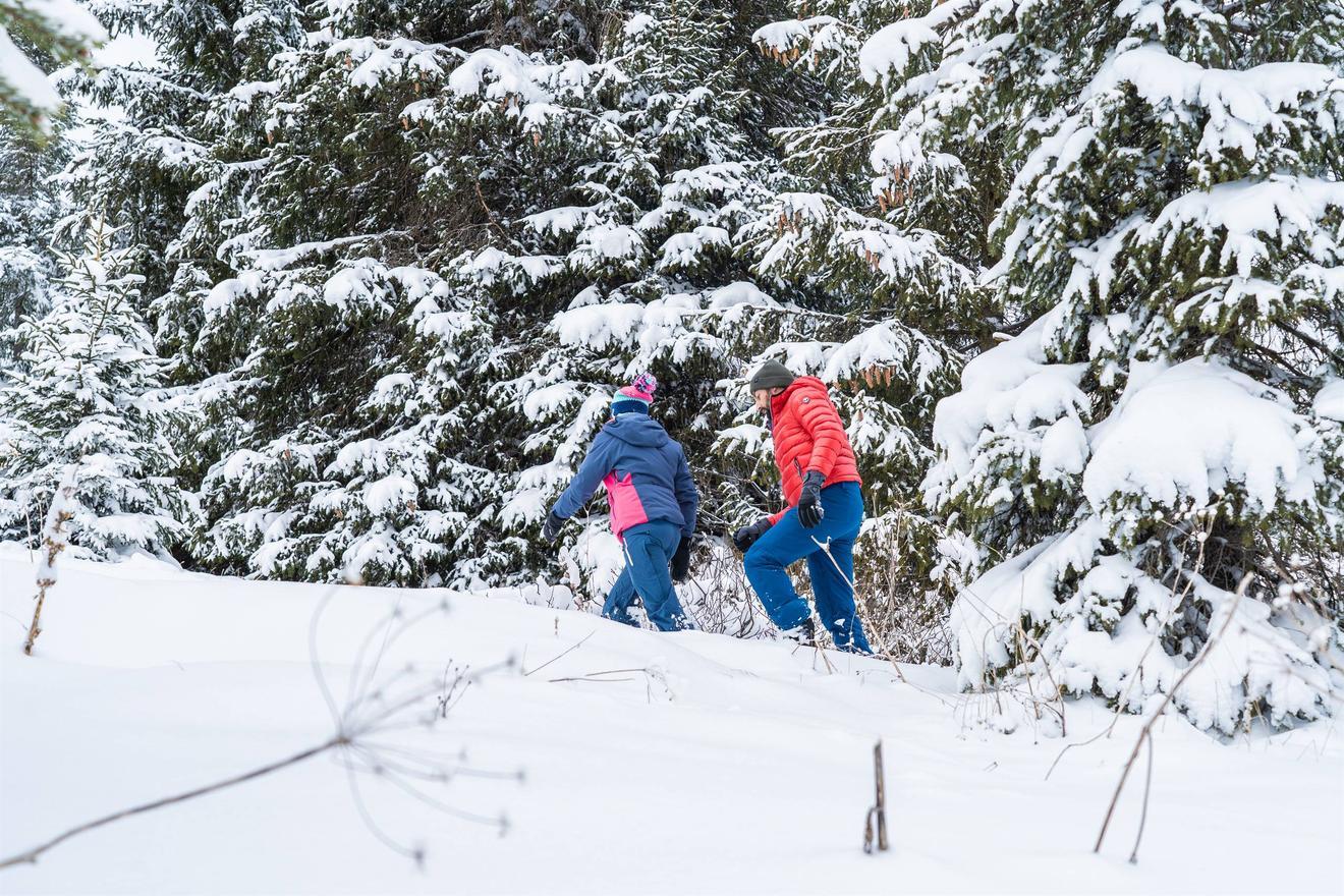 Trekking: "Folgaria D'Incanto"