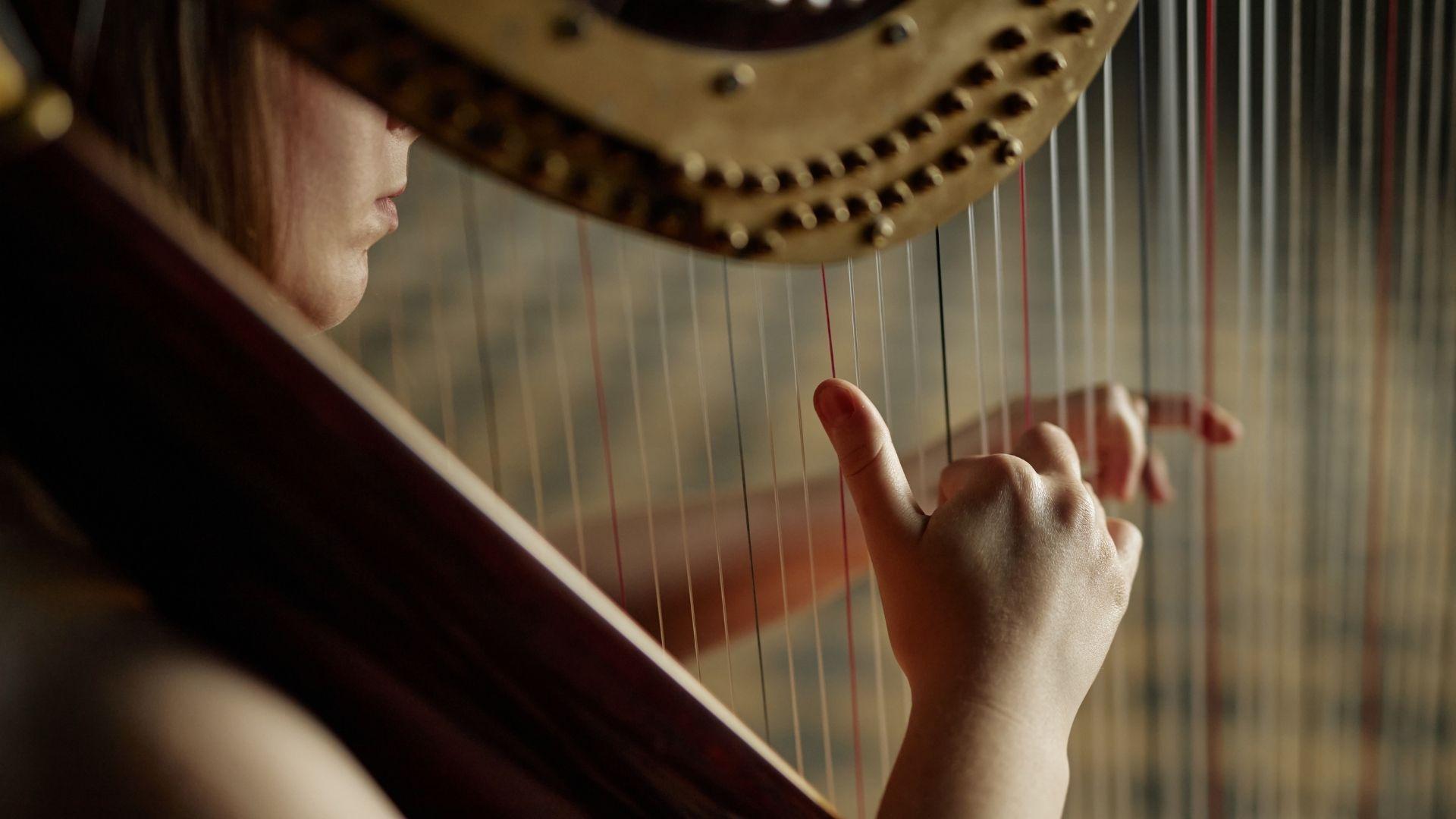 De Biasi, Vettoretto, Burigo