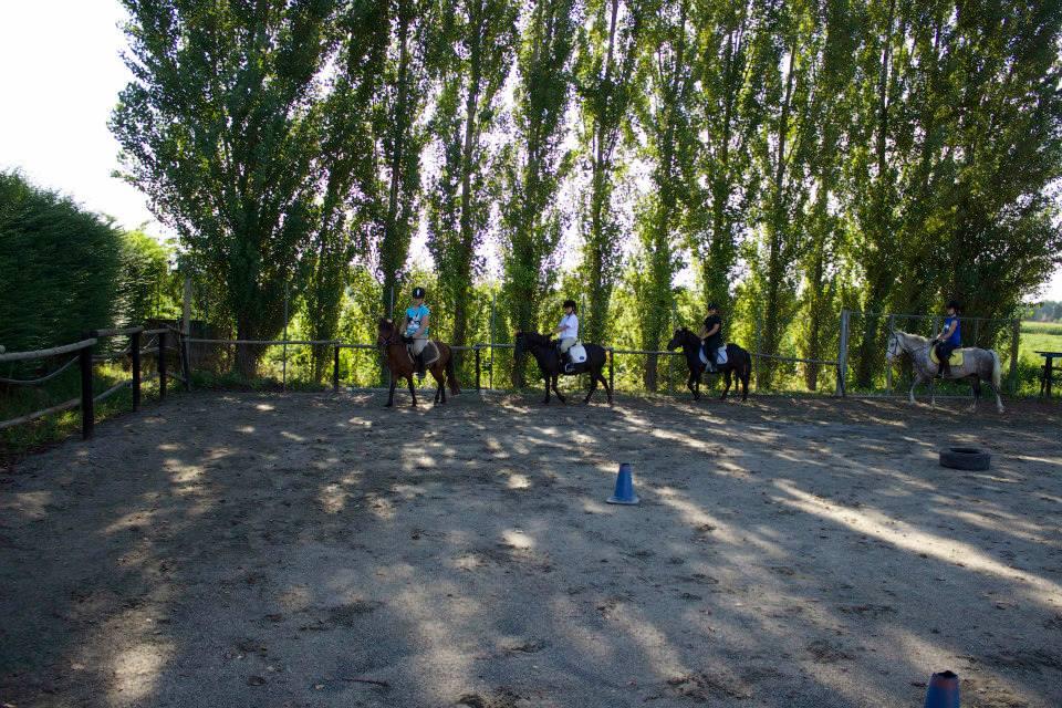 Centro Ippico Il Cavallo è Vita