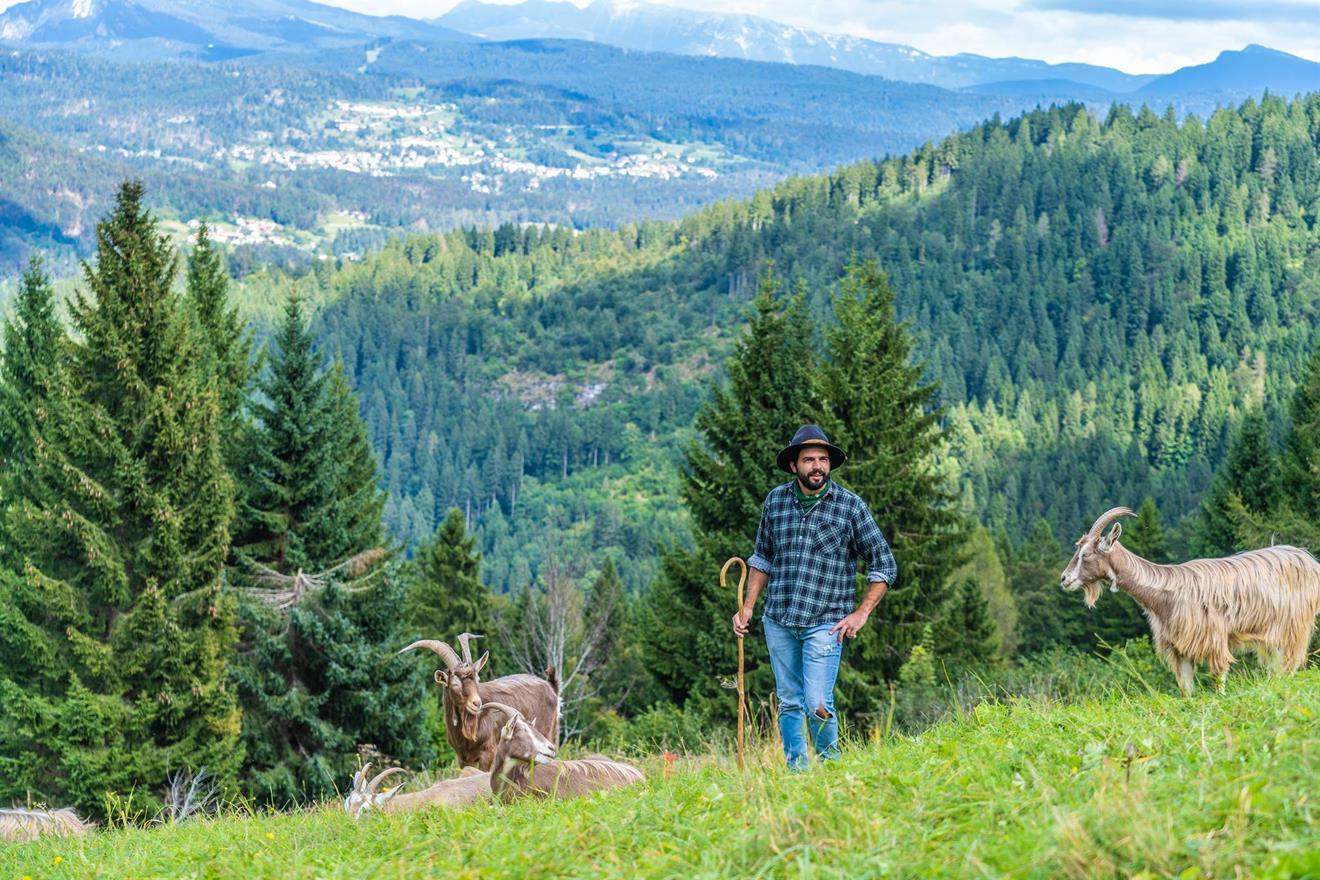 Trekking con le caprette