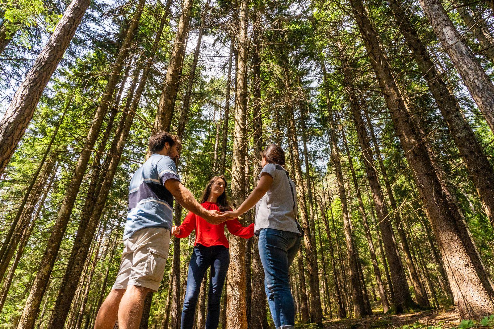 Forest Bathing