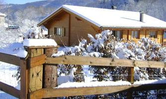 Dolomiti Woody House