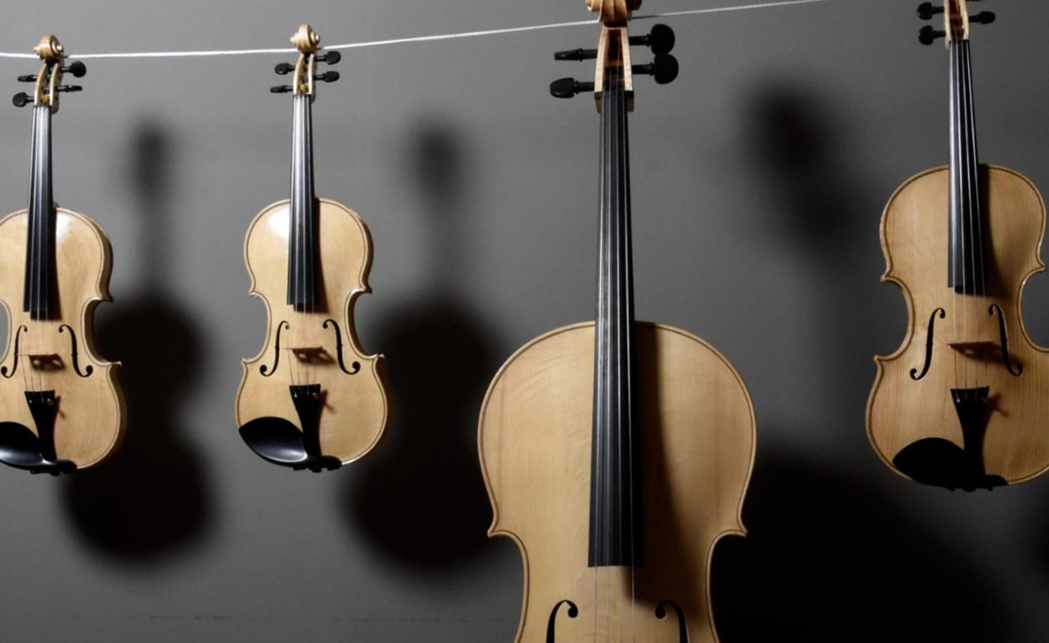 Concerto di Natale della Banda Folk di Folgaria con il Quartetto d'Archi ANIMA