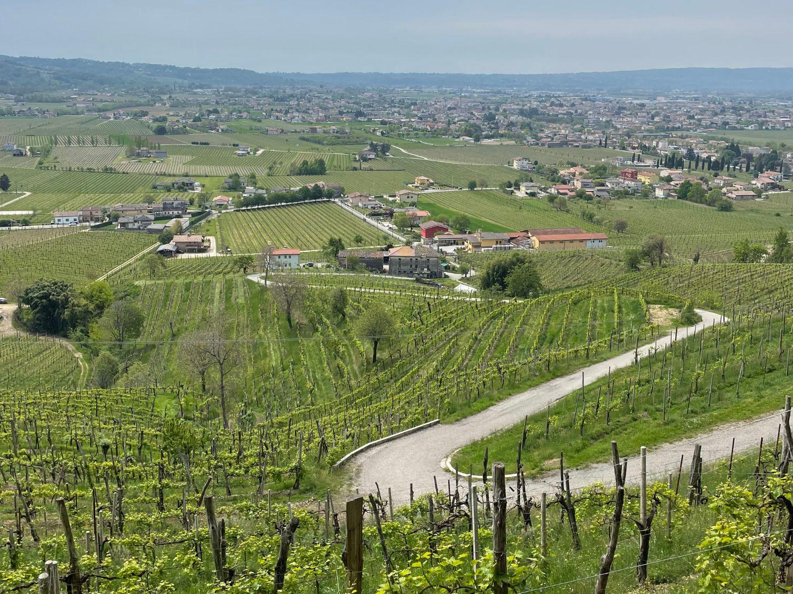 A piedi sul Monte Villa
