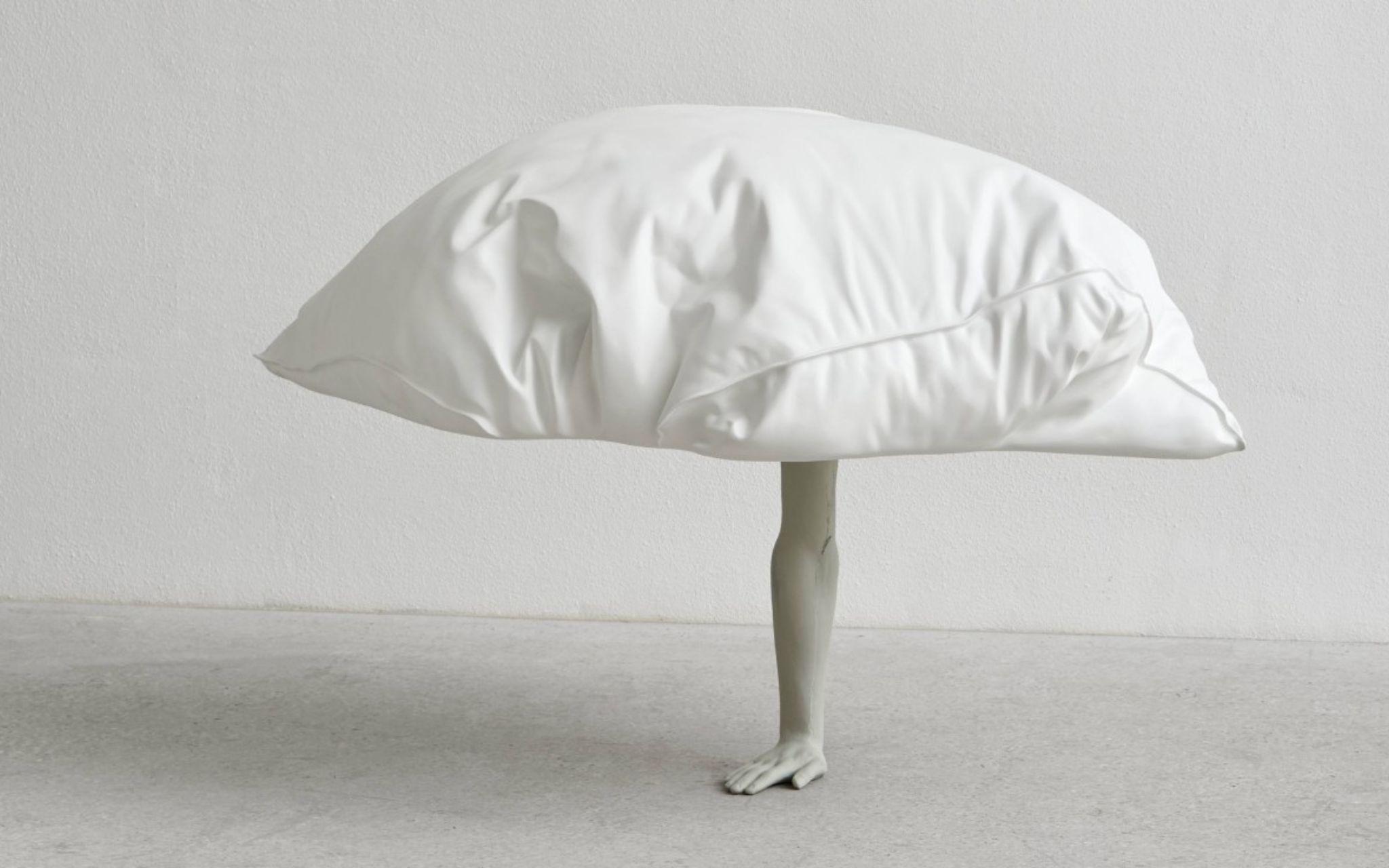 Erwin Wurm Fortuny