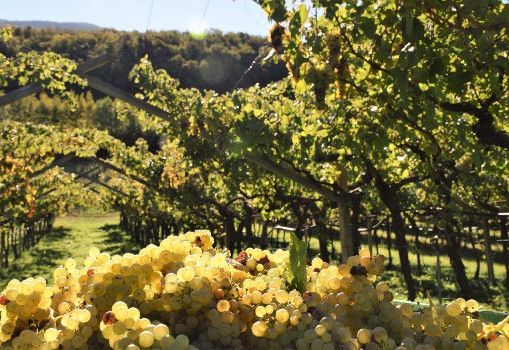None