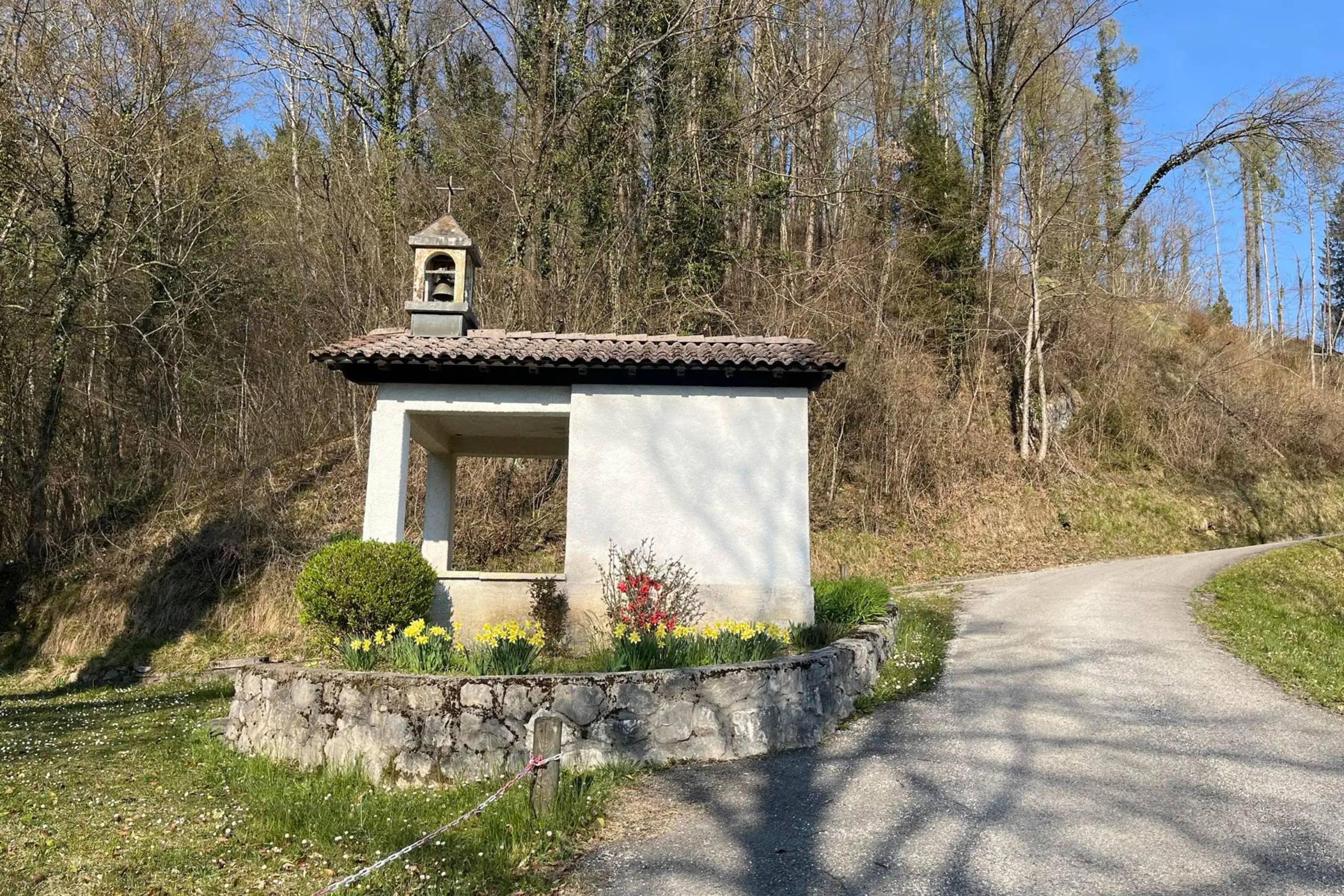Percorso del cuore