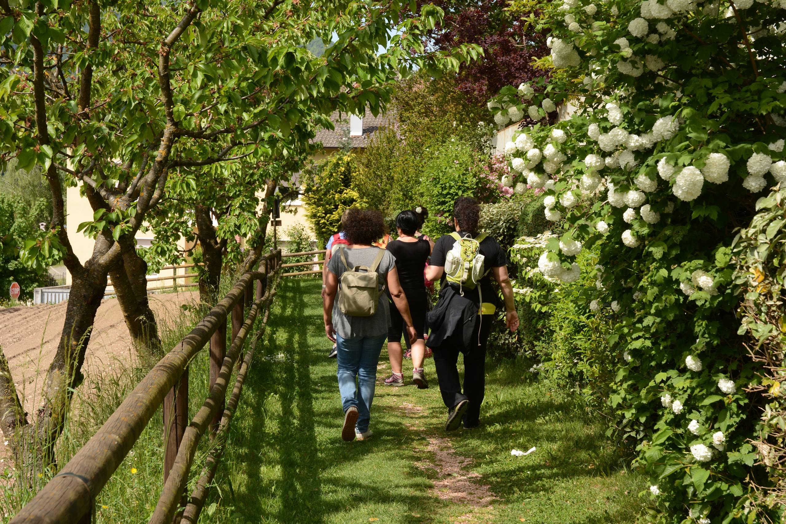 Vigolana Camina e Magna