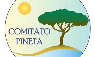 Programma estate - Comitato Pineta