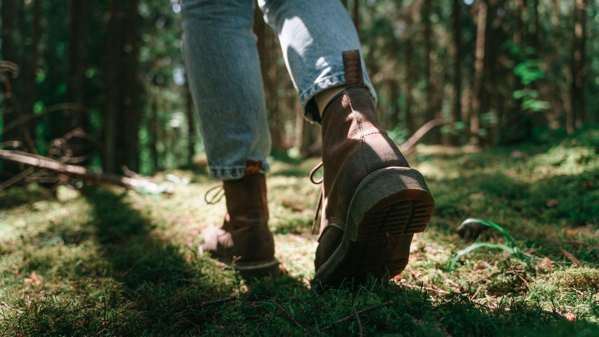 Paesaggi della Valbelluna