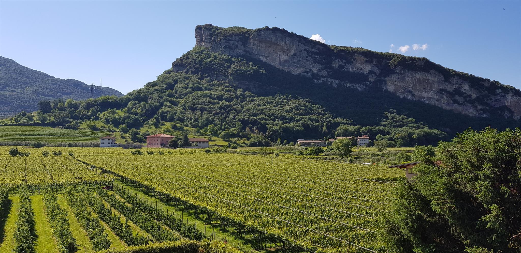 AGRITUR GIRASOLE • Garda Trentino