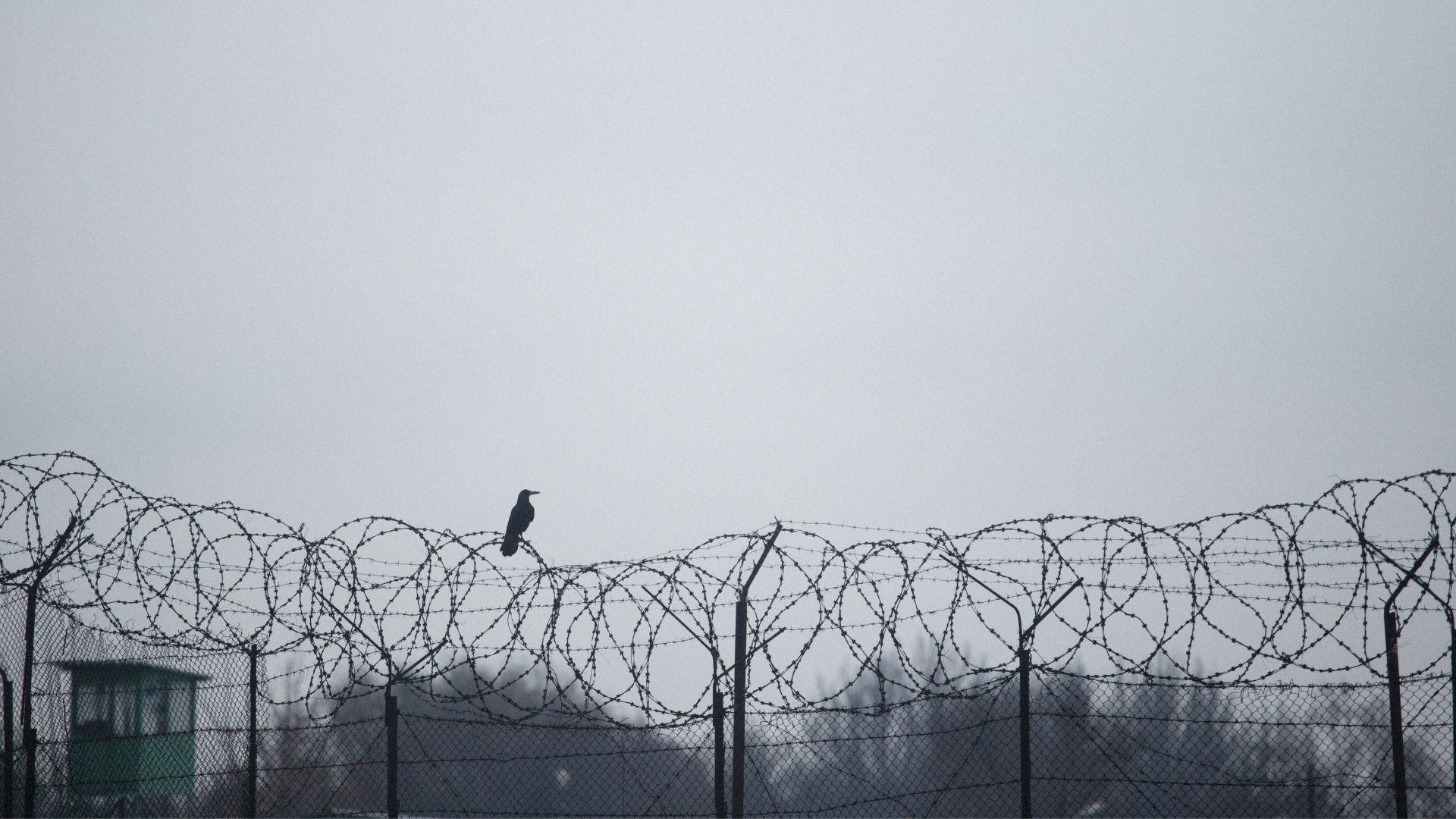 Mafie, donne e carcere