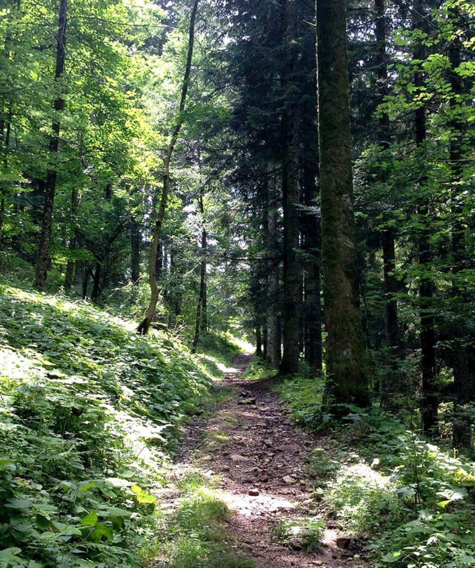 1oo km dell'Alpago - 2