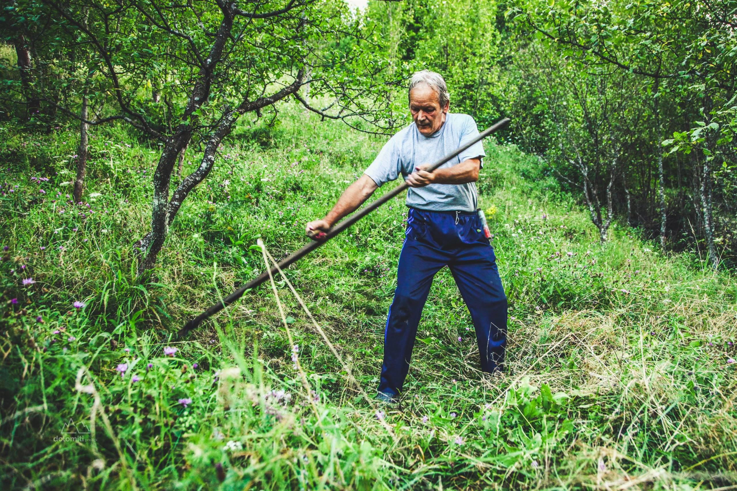 Seren: la valle della Biodiversità. Alla scoperta del progetto