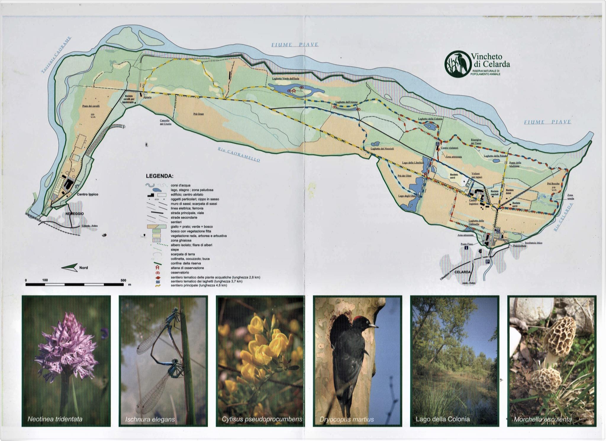 Riserva naturale Vincheto di Celarda - 2
