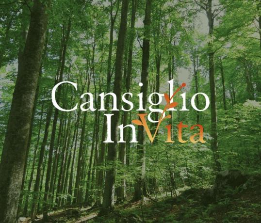Festival della salute planetaria -Cansiglio invita 2026