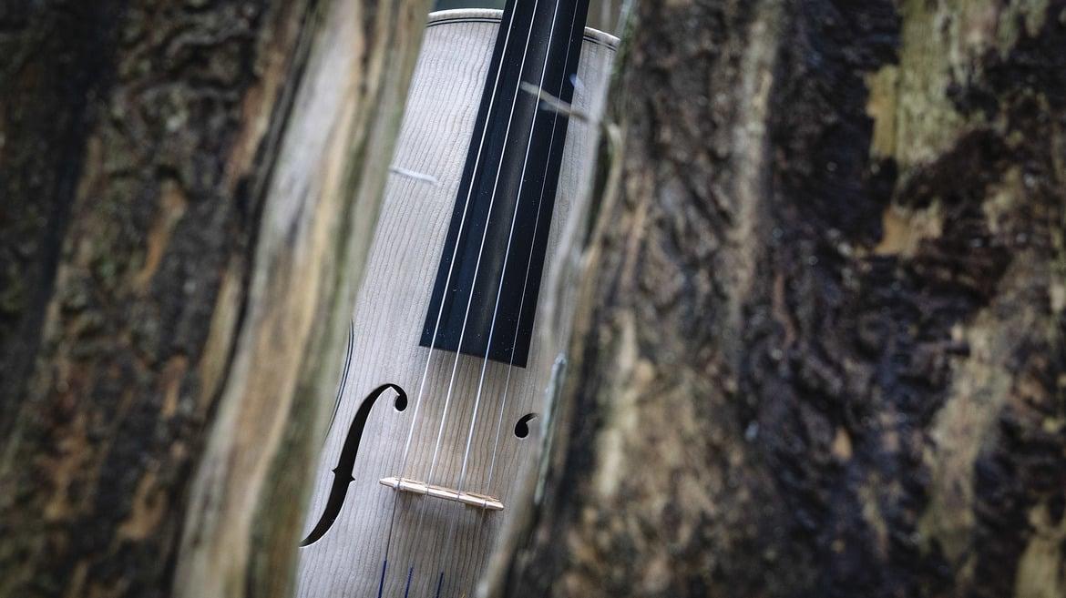 Concerto di Natale della Banda Folk di Folgaria con il Quartetto d'Archi ANIMA