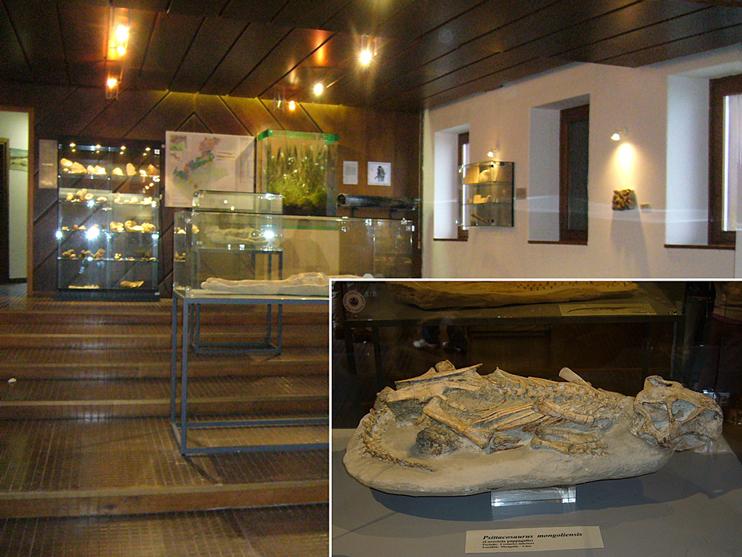 Museo paleontologico